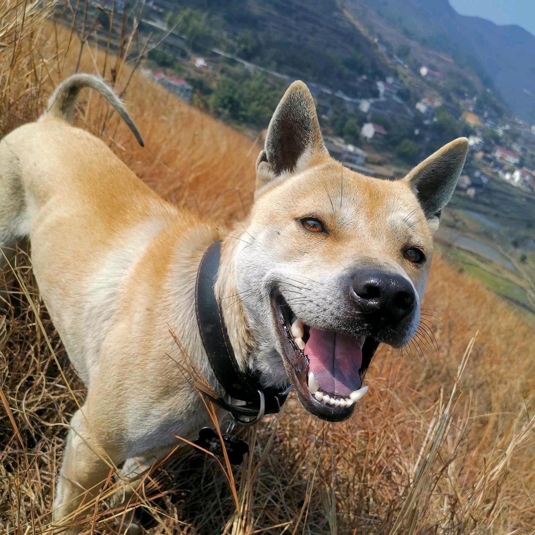 @大壮