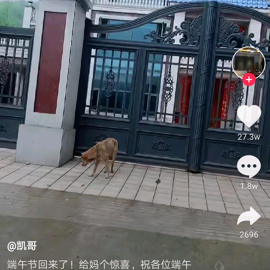 告别过去，回归现实！