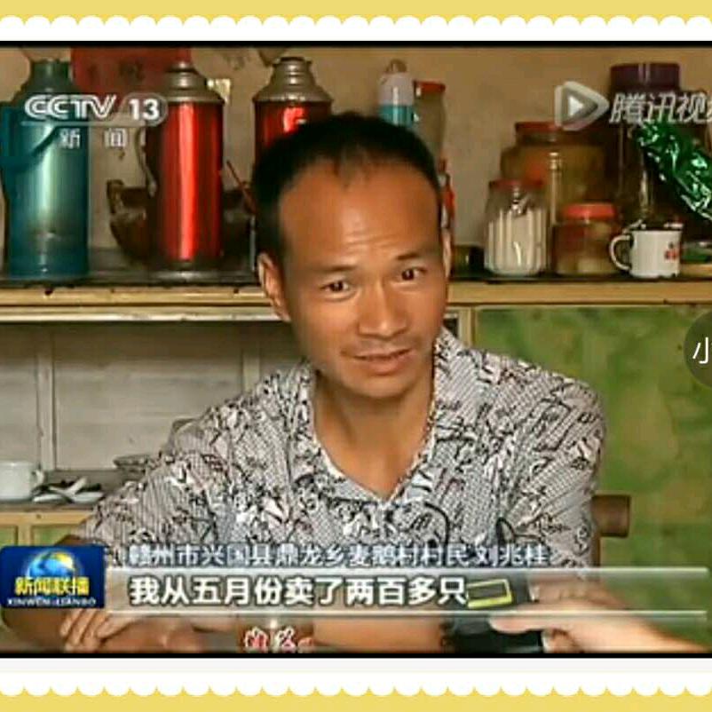 兆桂哥休闲农庄四季水果采摘园