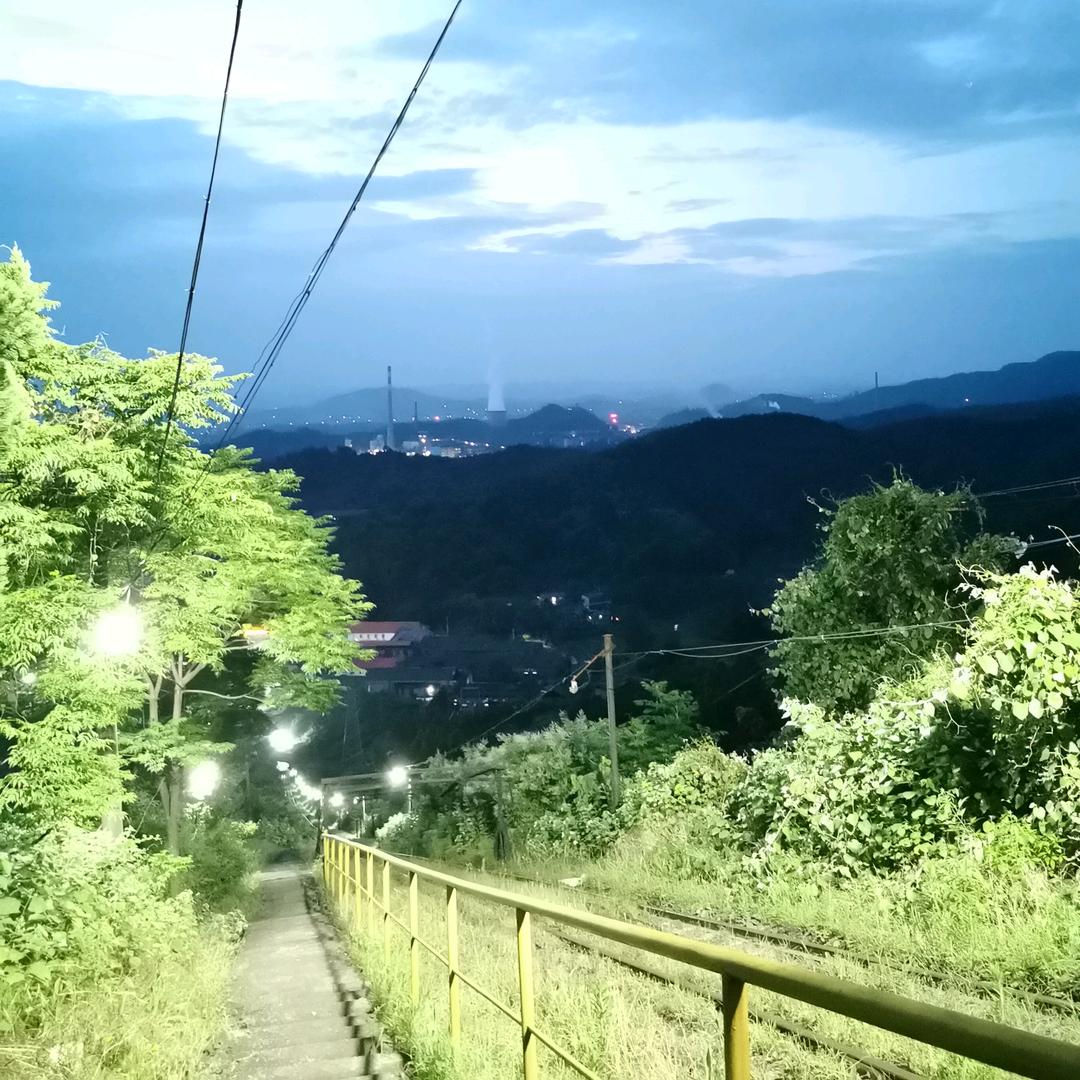 张虎生