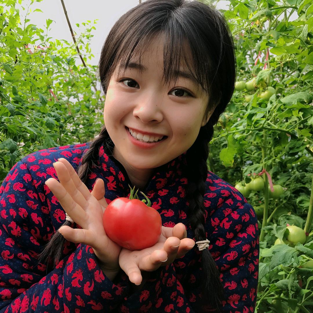 小花袄水果西红柿