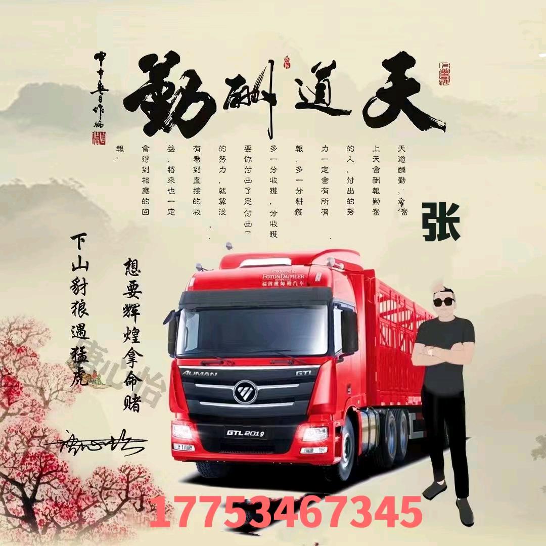 青春撒在马路上