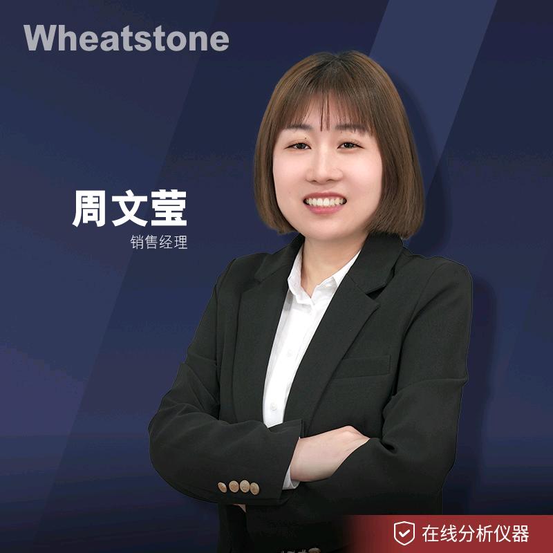 江苏惠斯通机电科技有限公司在线色谱采样器