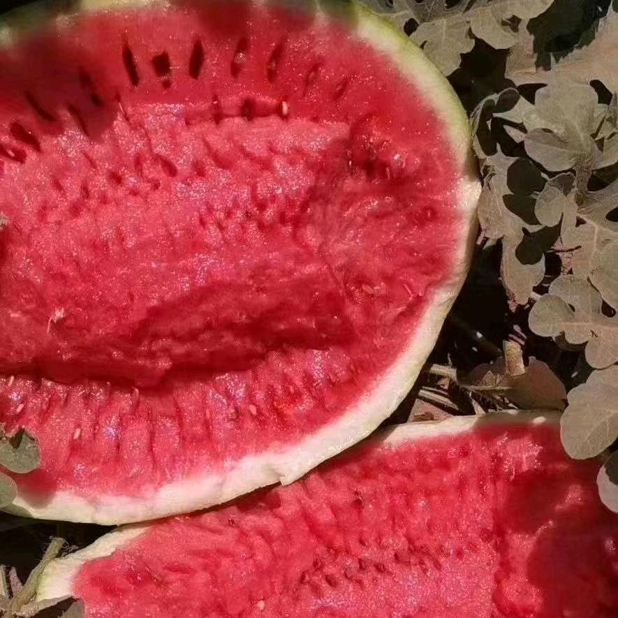 西瓜🍉小巴