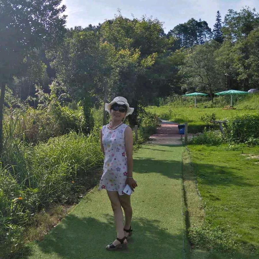 莲莲