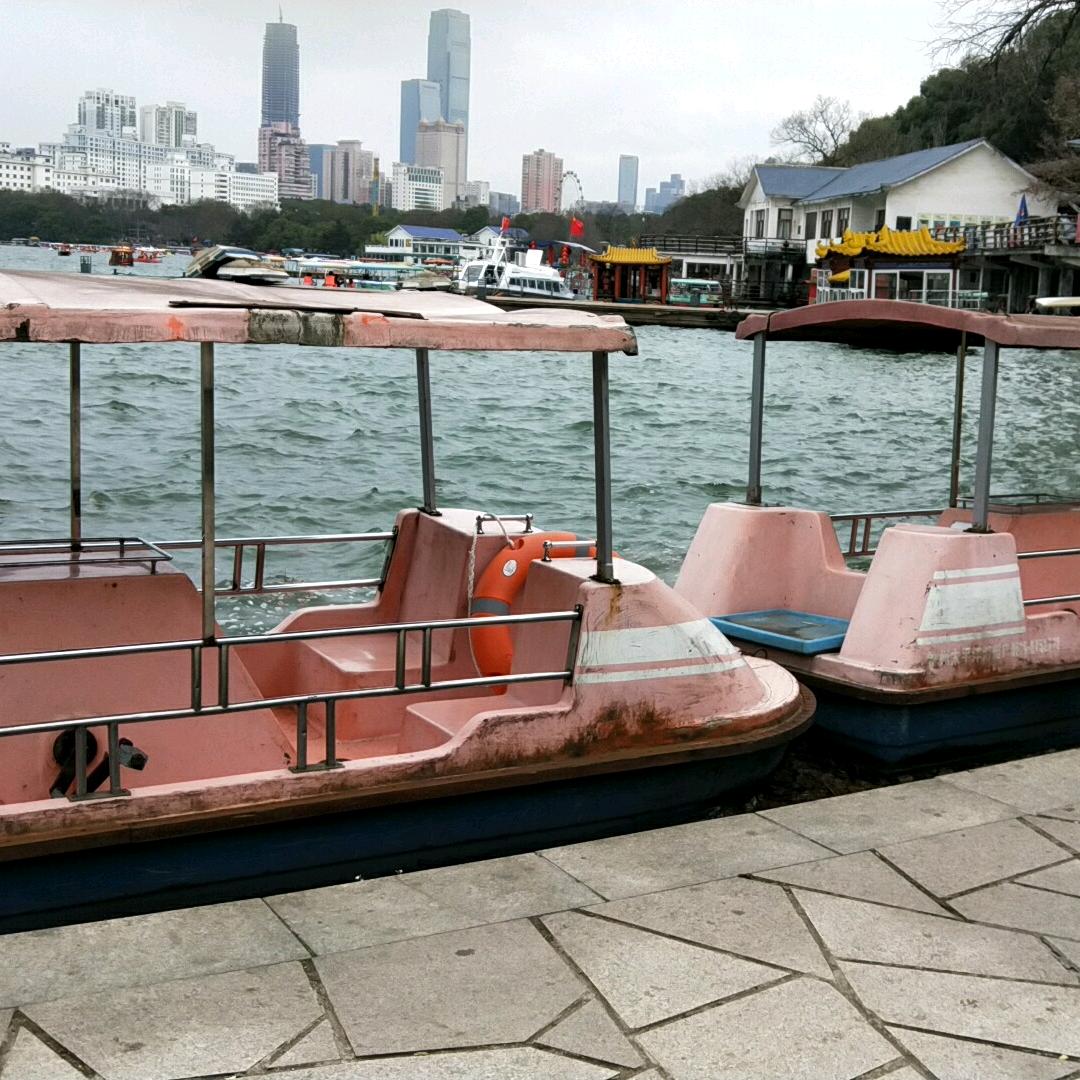 你是猴子請來的救兵嗎