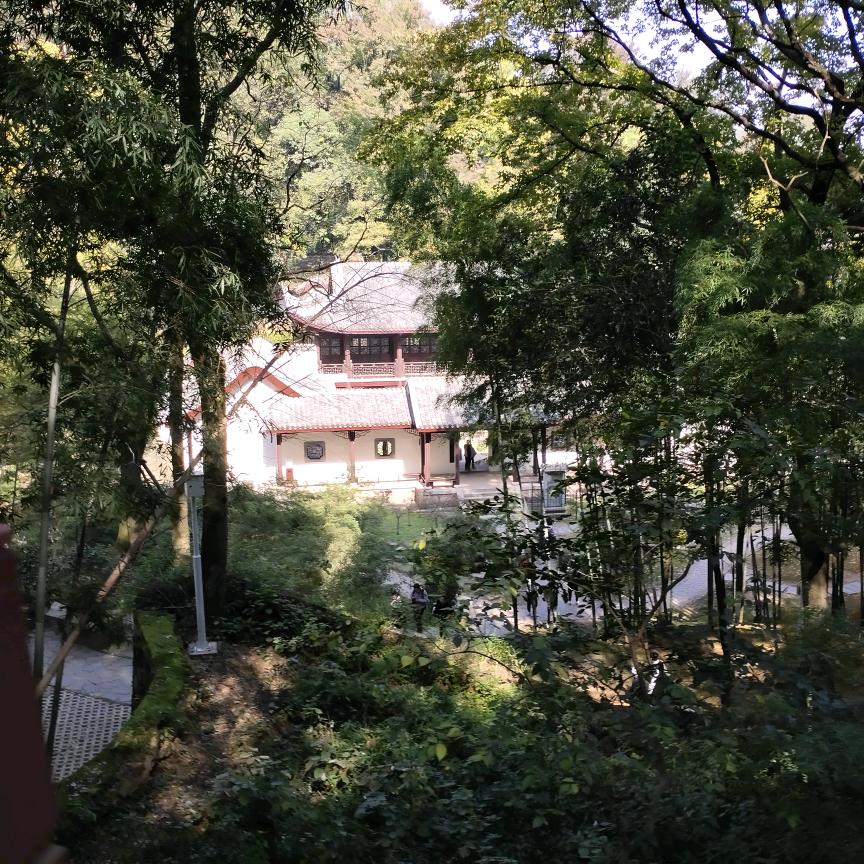慧眼*