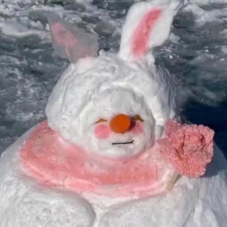 道上都叫我雪雪