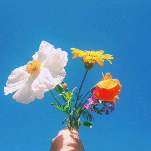执笔画流年