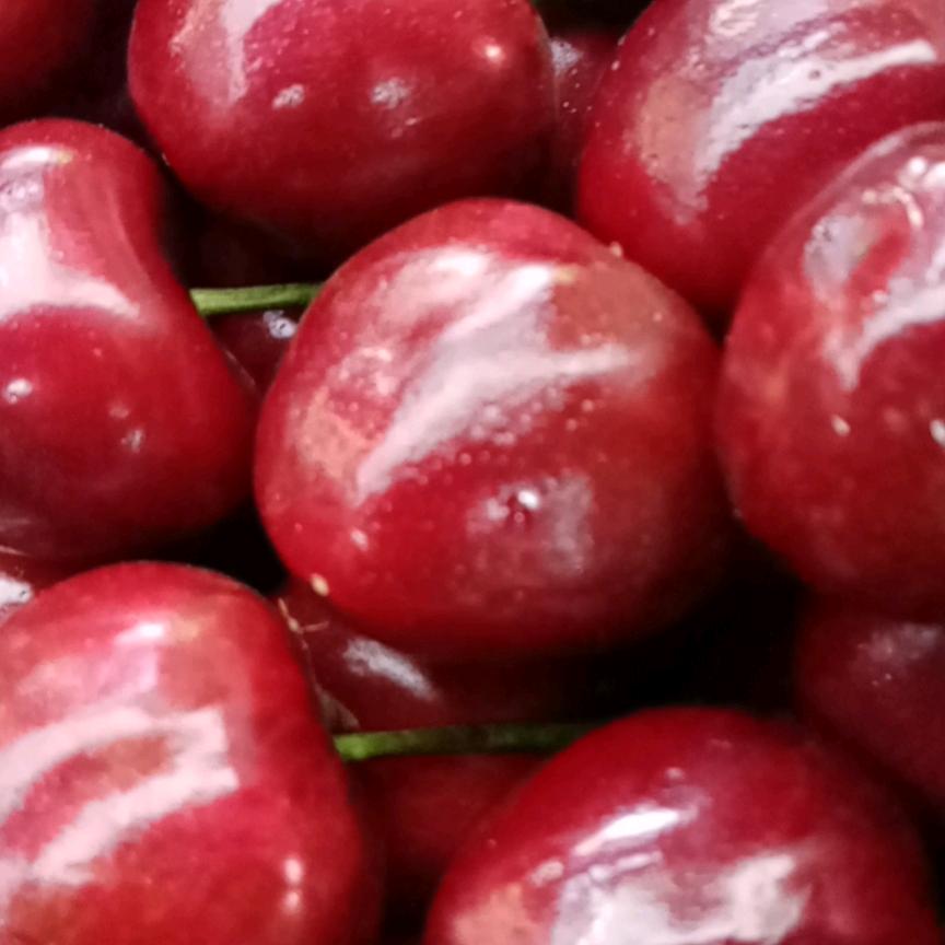 好运连连《劉多容》