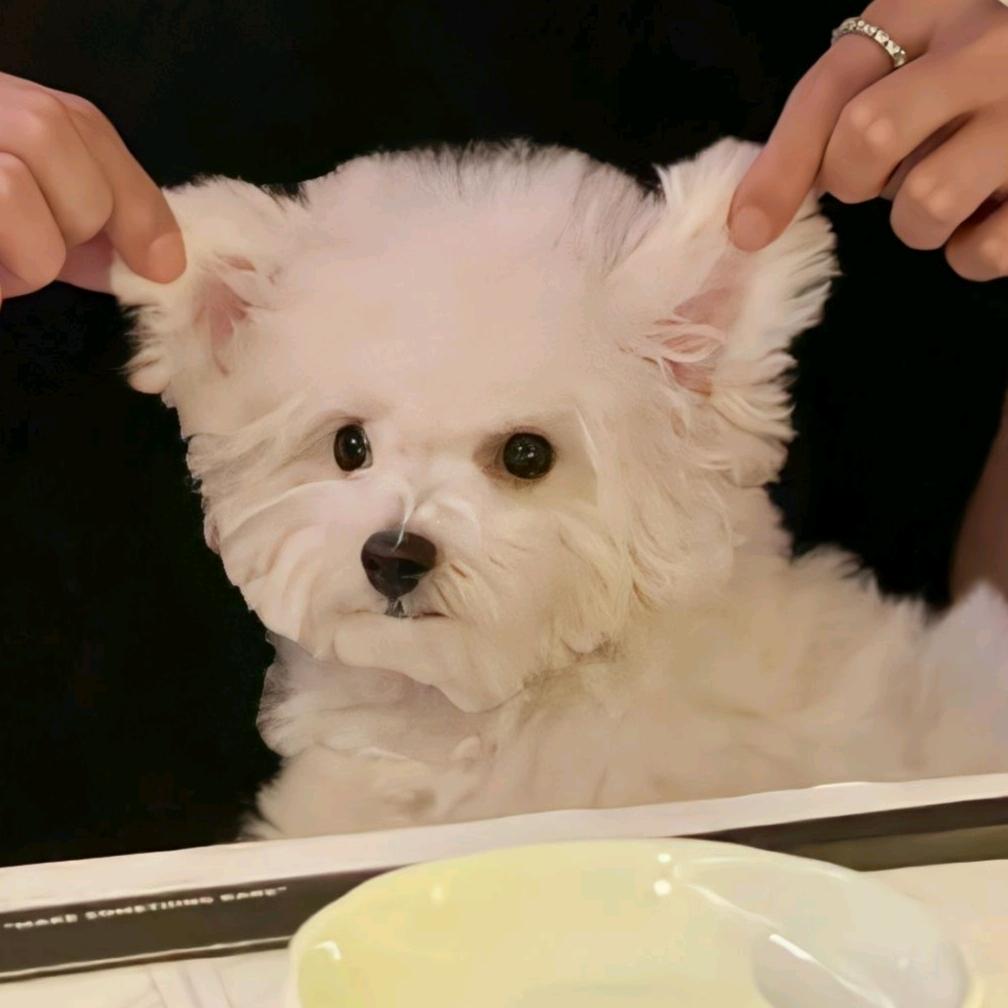 卡布西游-安稳随性