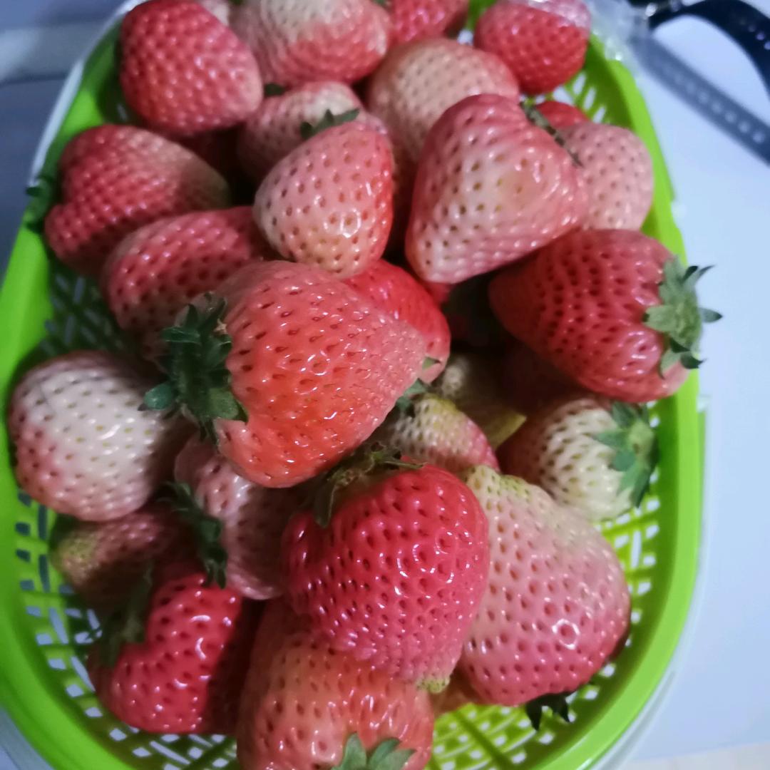 华硕农业高端草莓种植基地