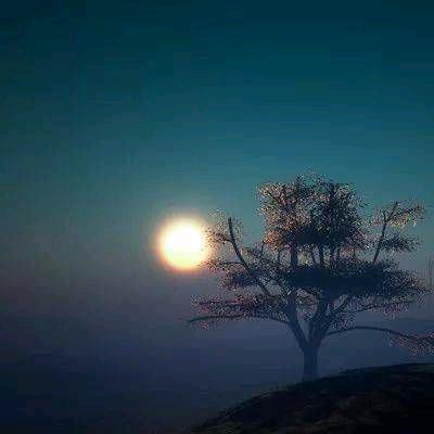 ~let it be
