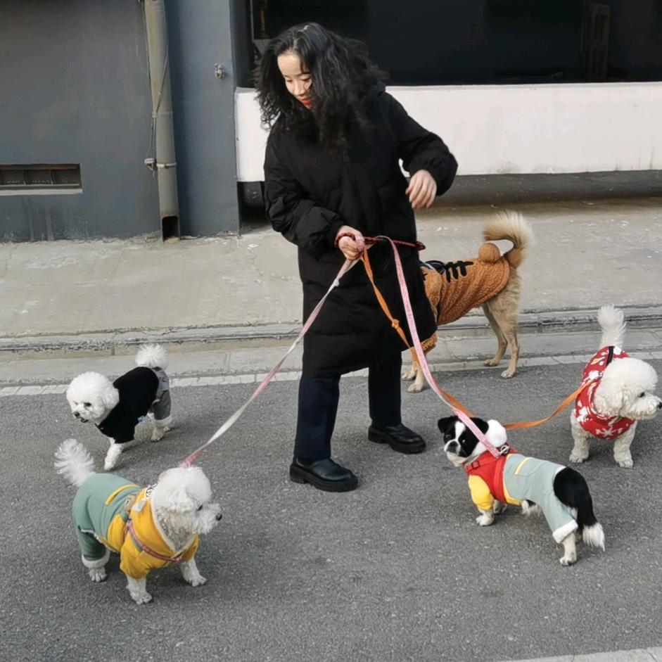 心愿