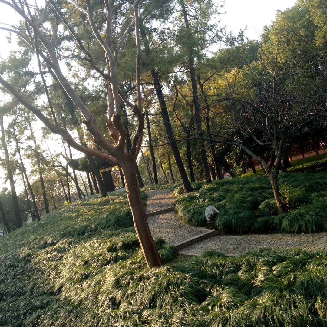 世界那么大，我想去看看！