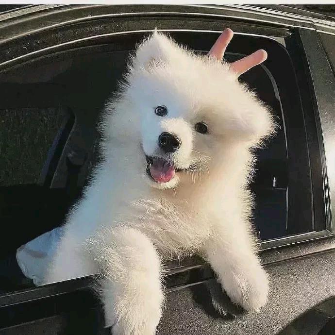 准备好