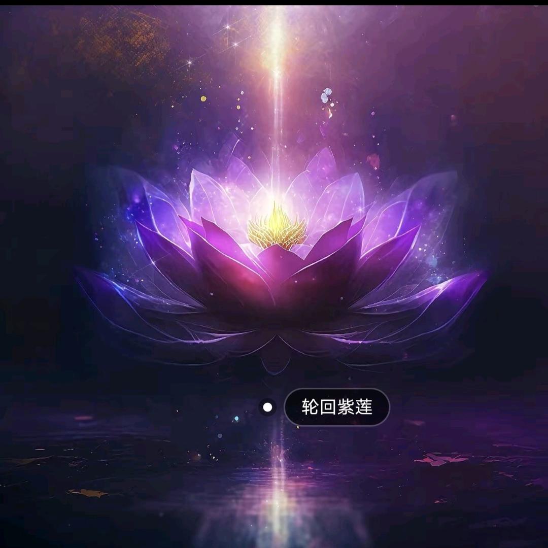 法结善缘