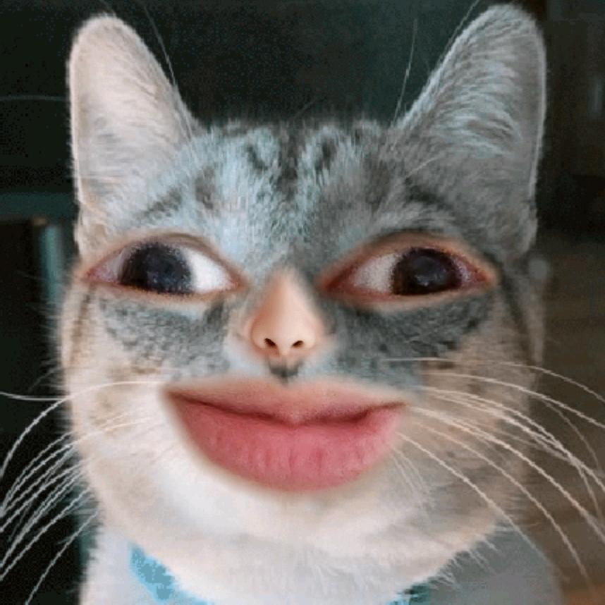 我叫毛小花