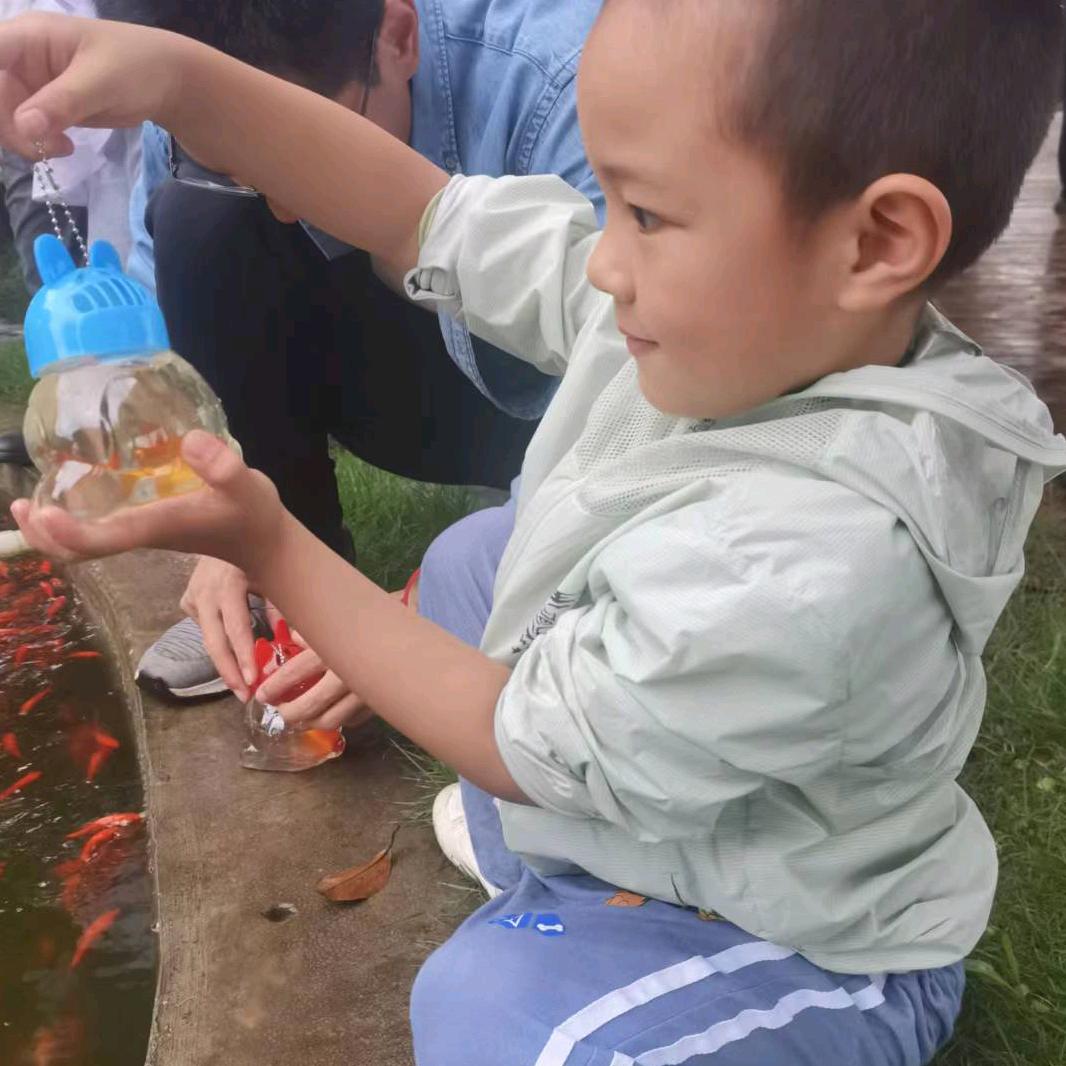 兰阿姨
