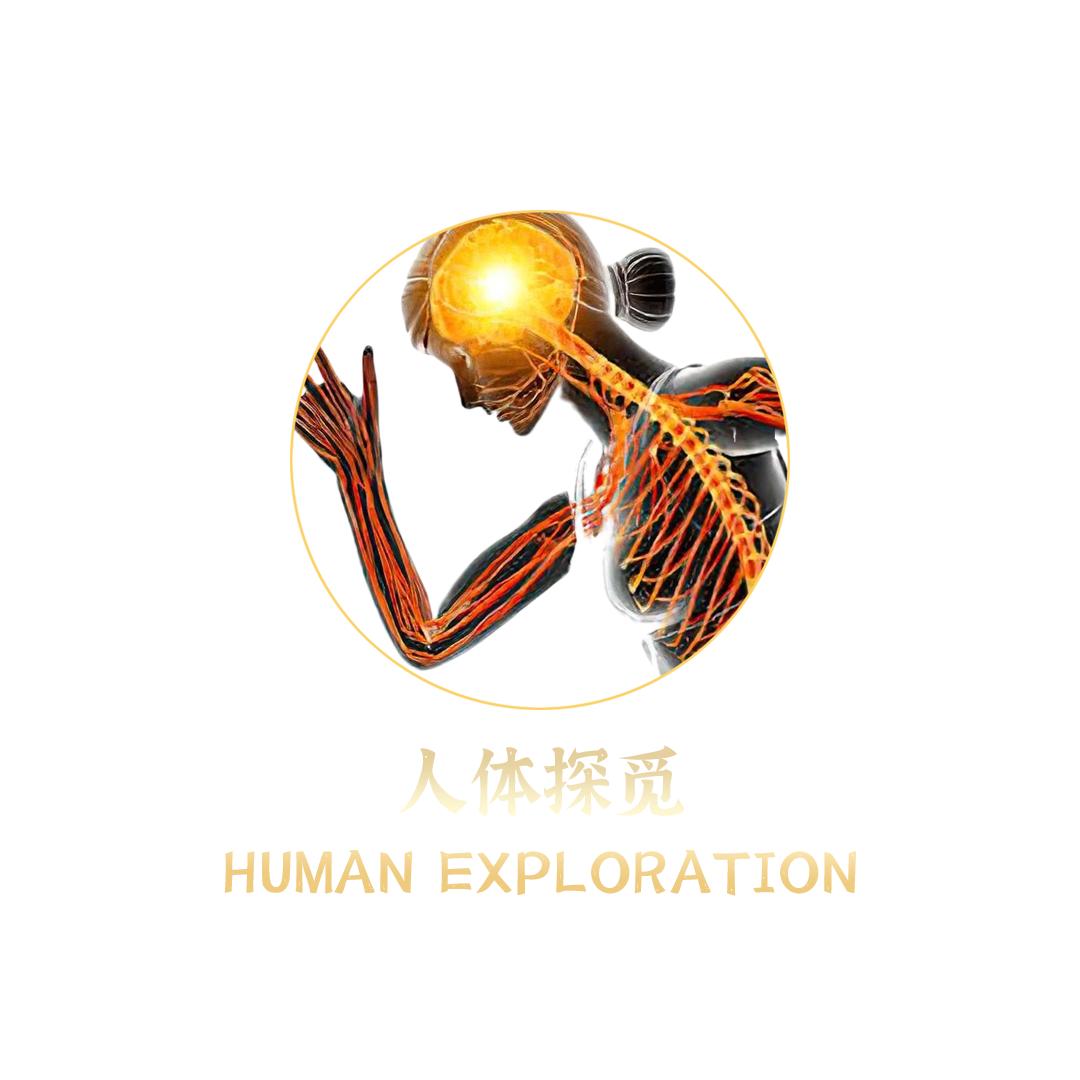 人体探觅