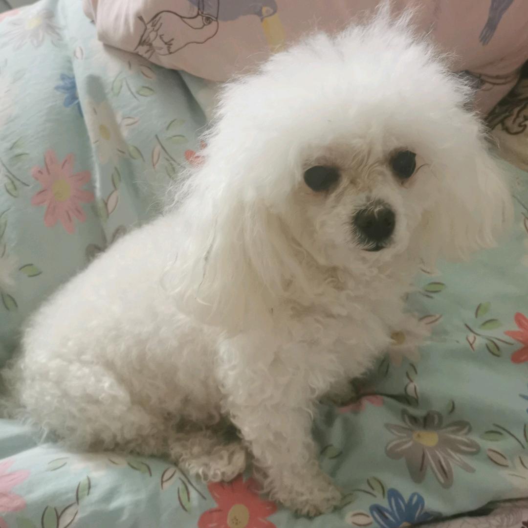 小兰姐