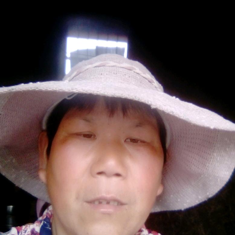 宫秀勤