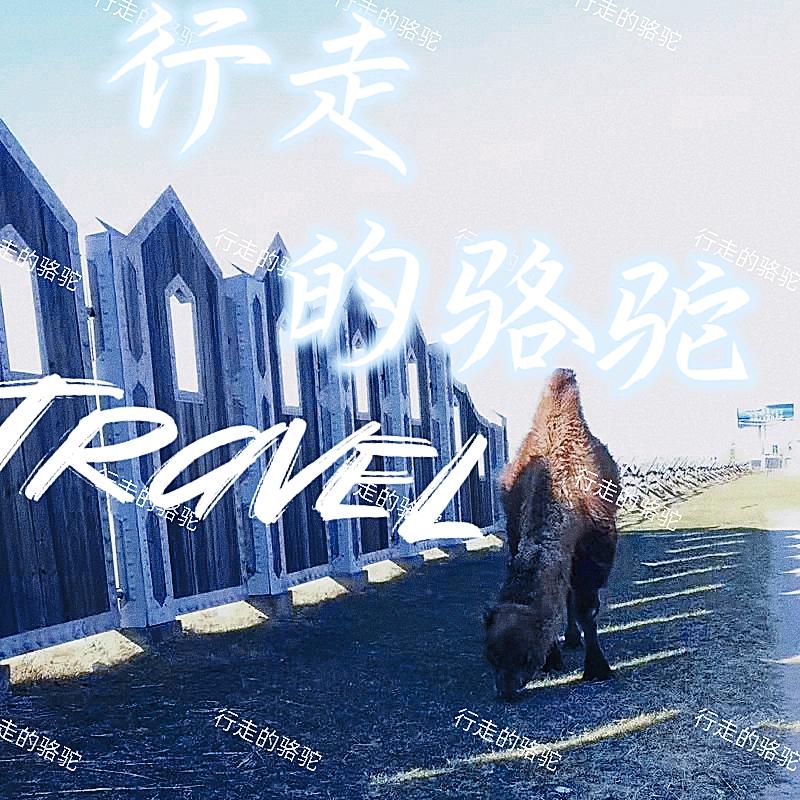 行走的筱骆驼