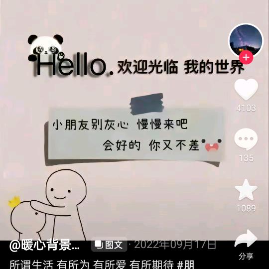 ʕ梧桐细雨