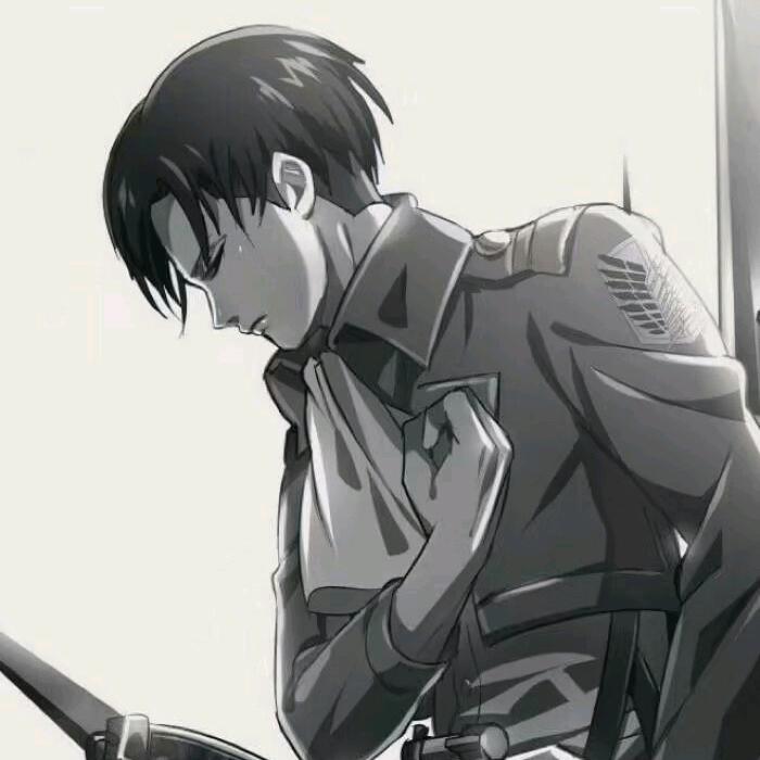 来米宝的猫食堂