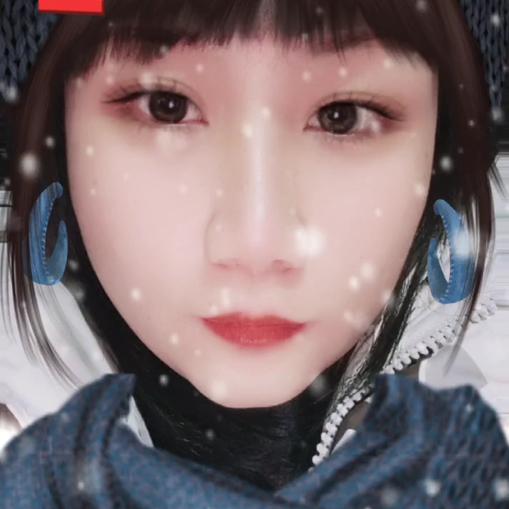 傻慧