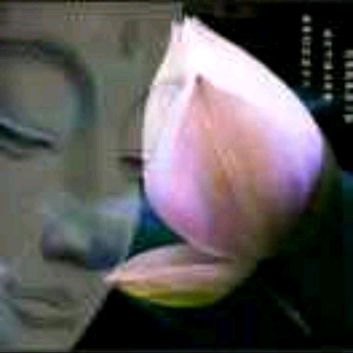 知否！！三乡金樽酒店裴经理