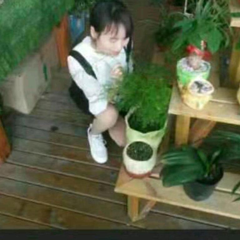 心雨