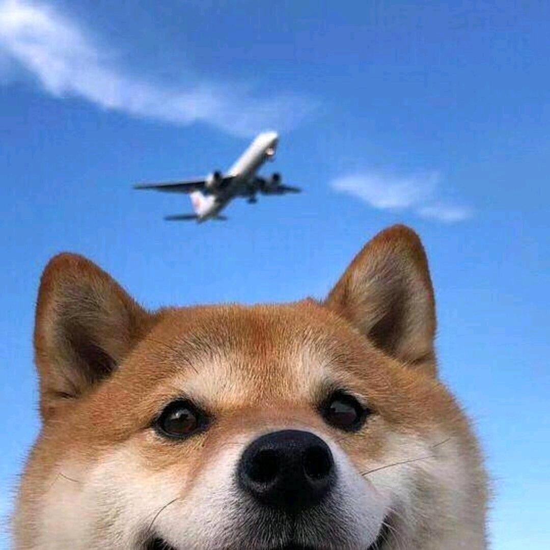 奋勇直前