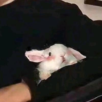 大橙先生