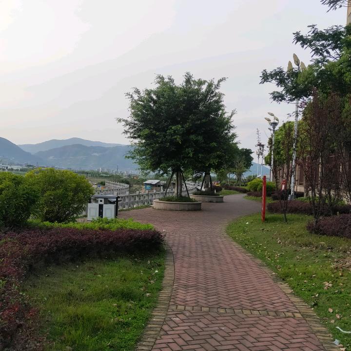 朱小星
