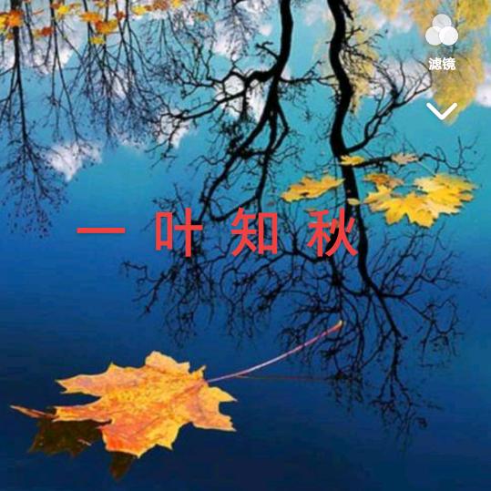 一 叶 知 秋
