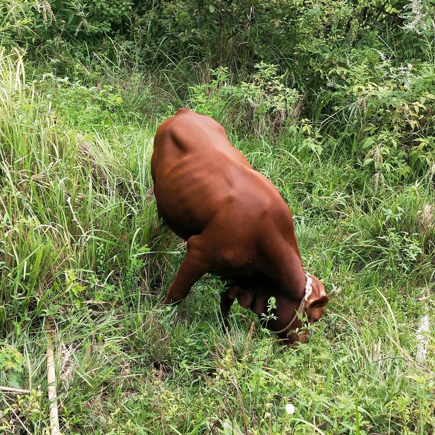 润锦家庭农场