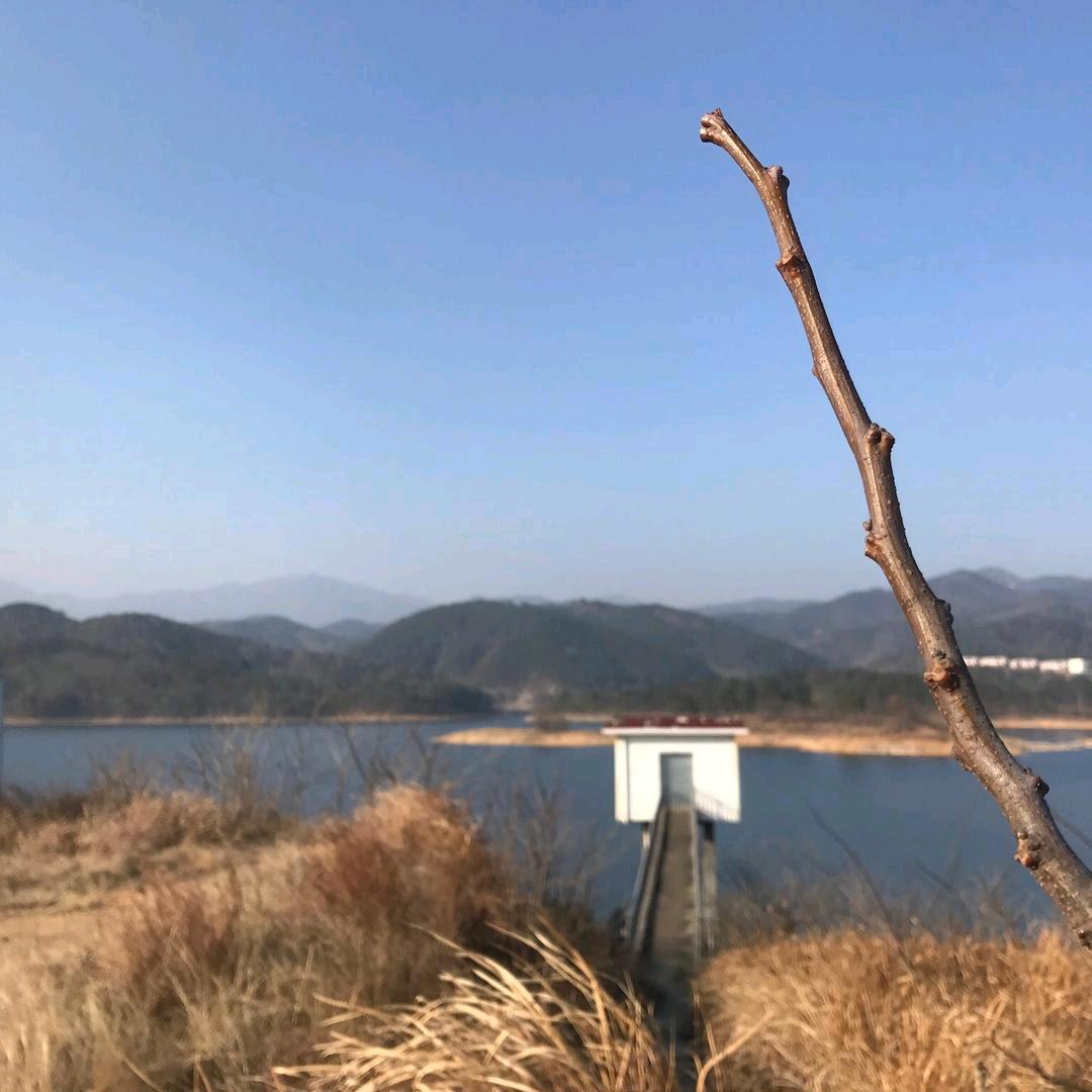 醉美桐城🇨🇳
