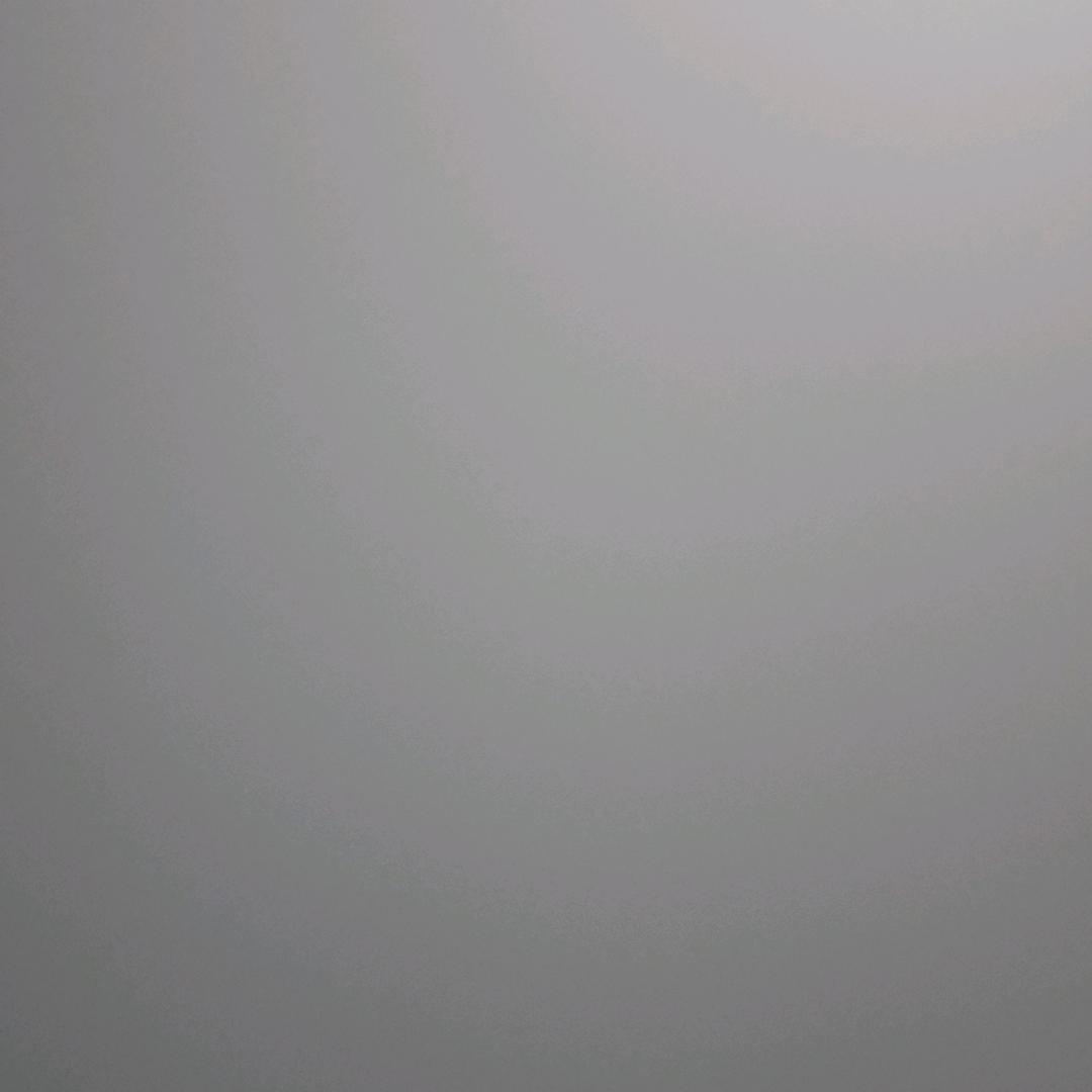 雁南飞