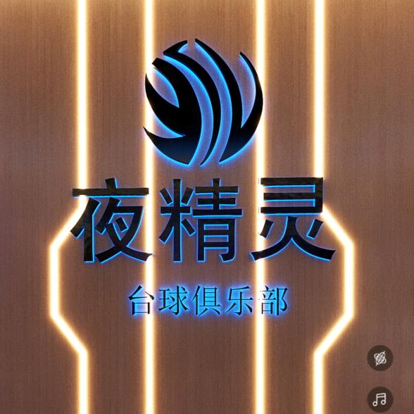 麻城市夜精灵乔氏台球俱乐部
