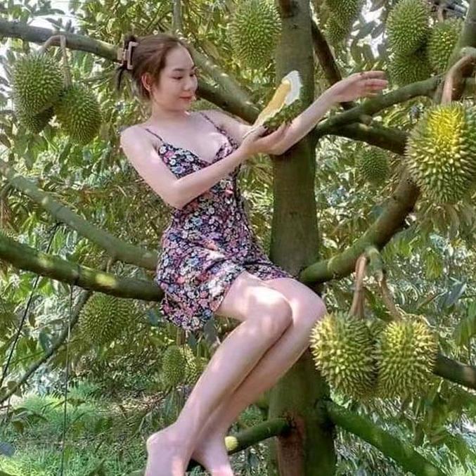惹惹