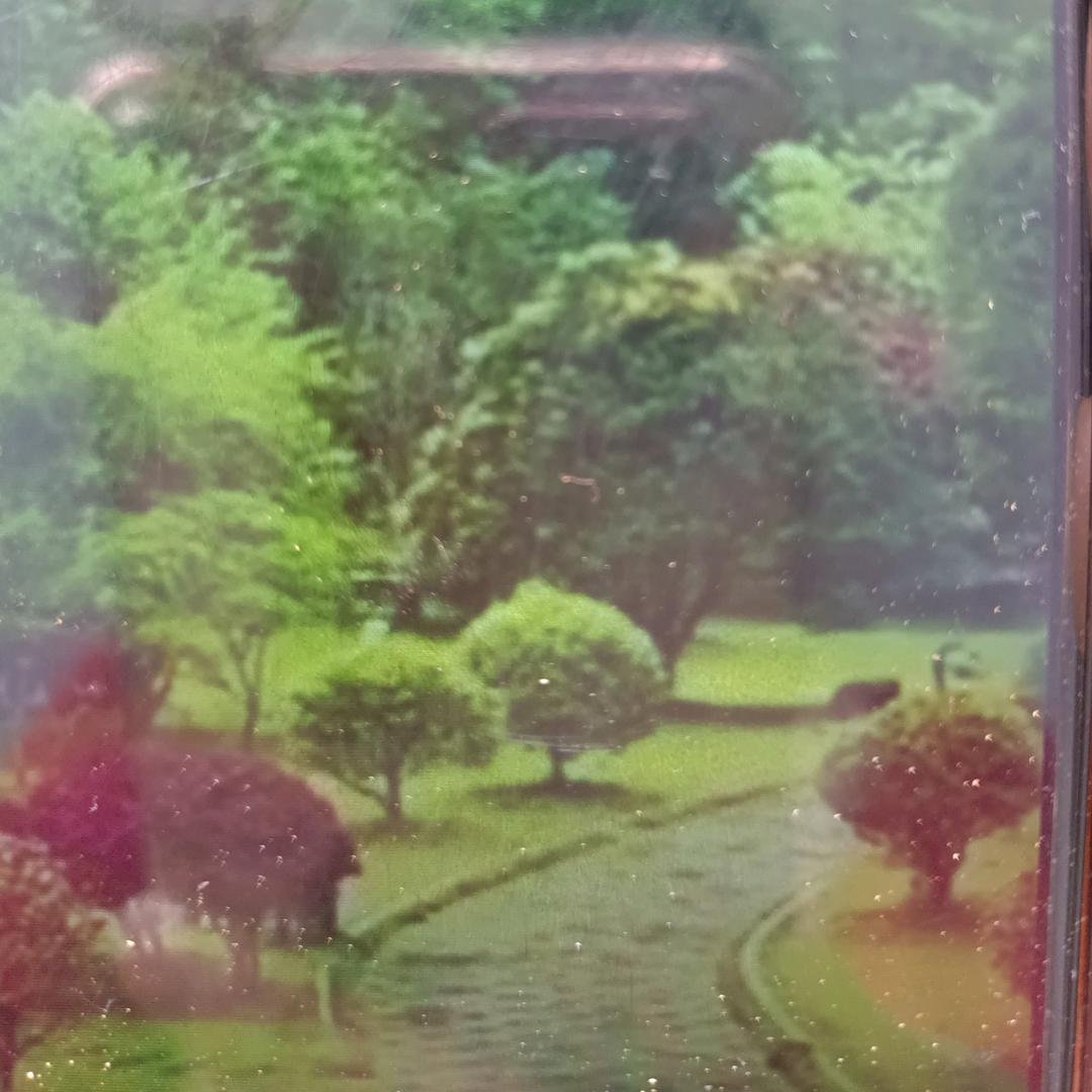 用户5090953251630玉珍