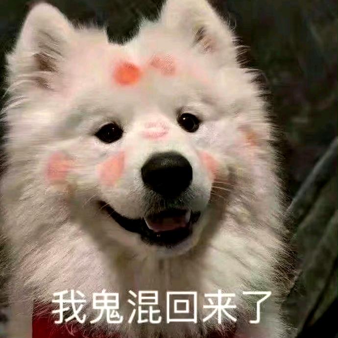 🐑berber🐐（攒钱版）