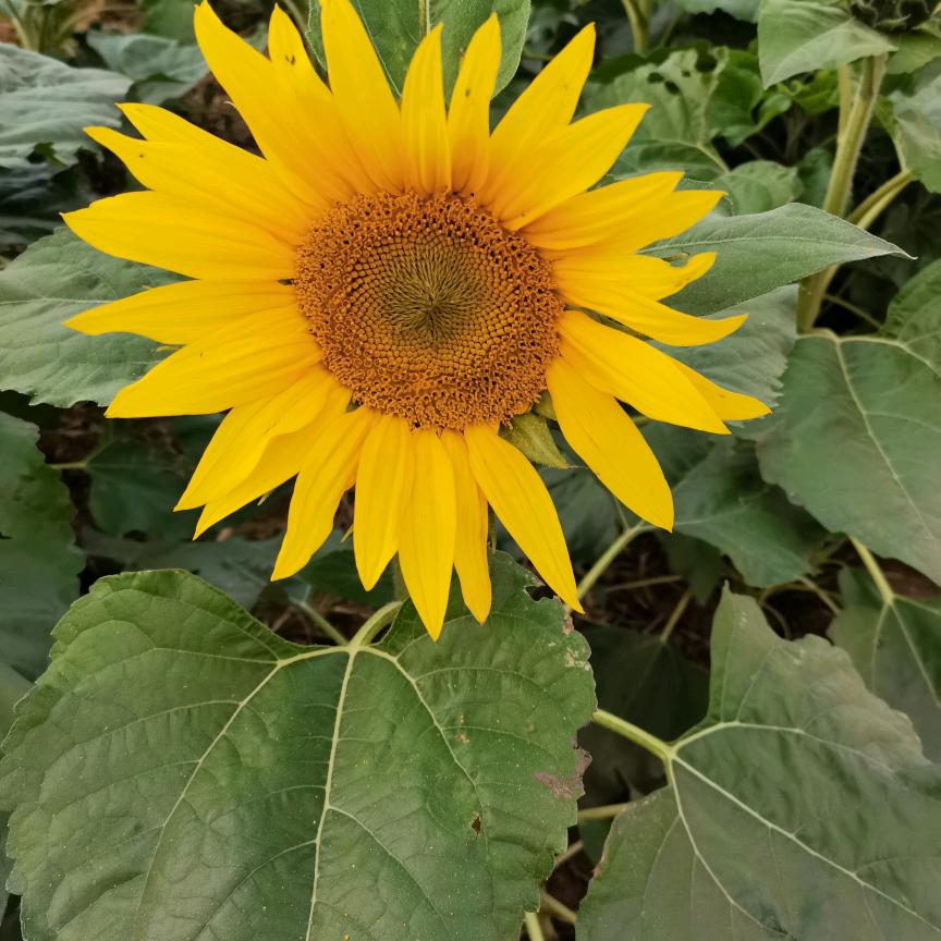 用户8650623759143，阿琳