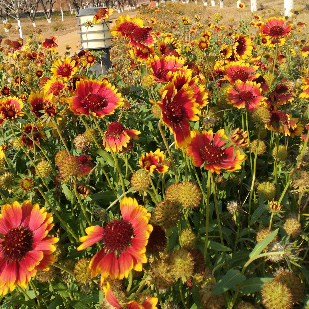 越来越好👍👍👍