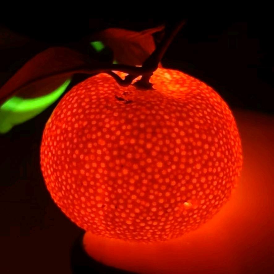 用户6143506867841还没想好