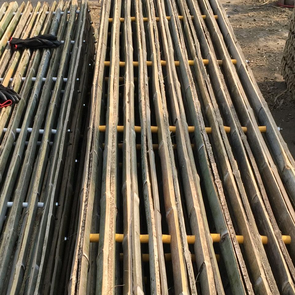 爱唱歌的老王。