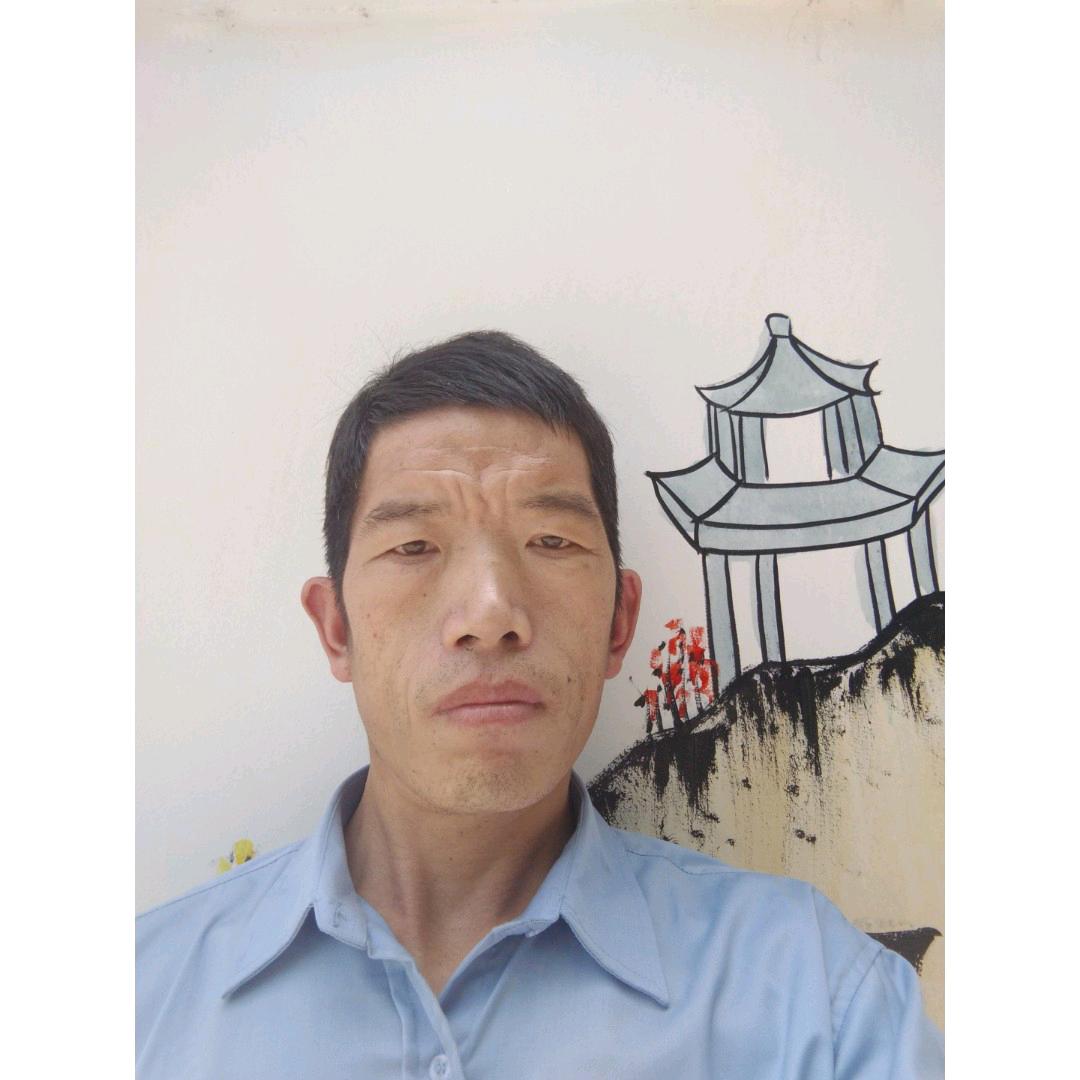 峰哥歌🎤(早晚五点半点左右)