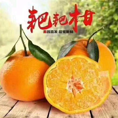 水果经营部