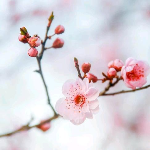 悦宝